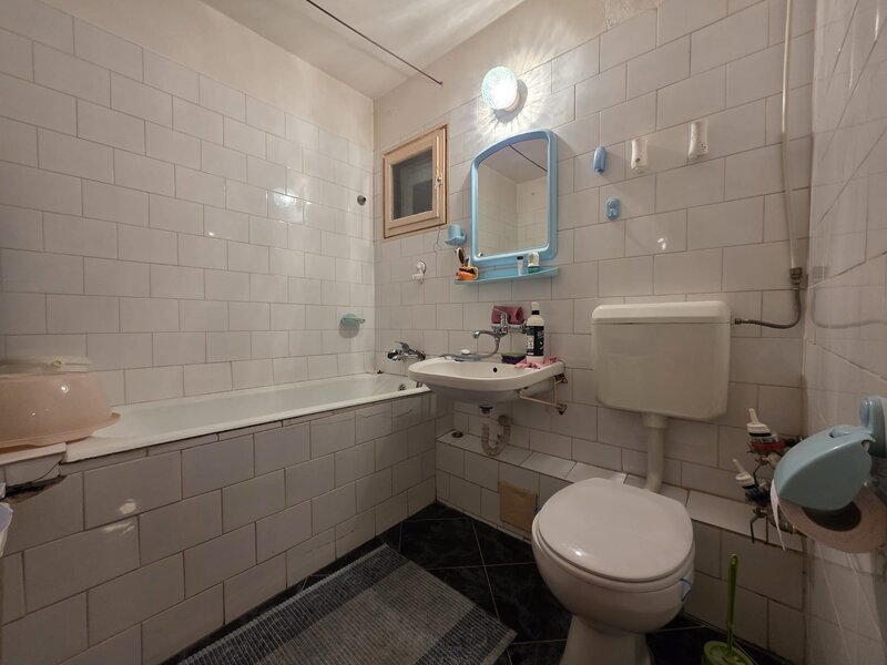 Titan Nicolae Grigorescu