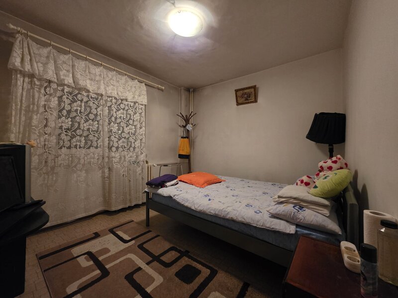 Titan Nicolae Grigorescu